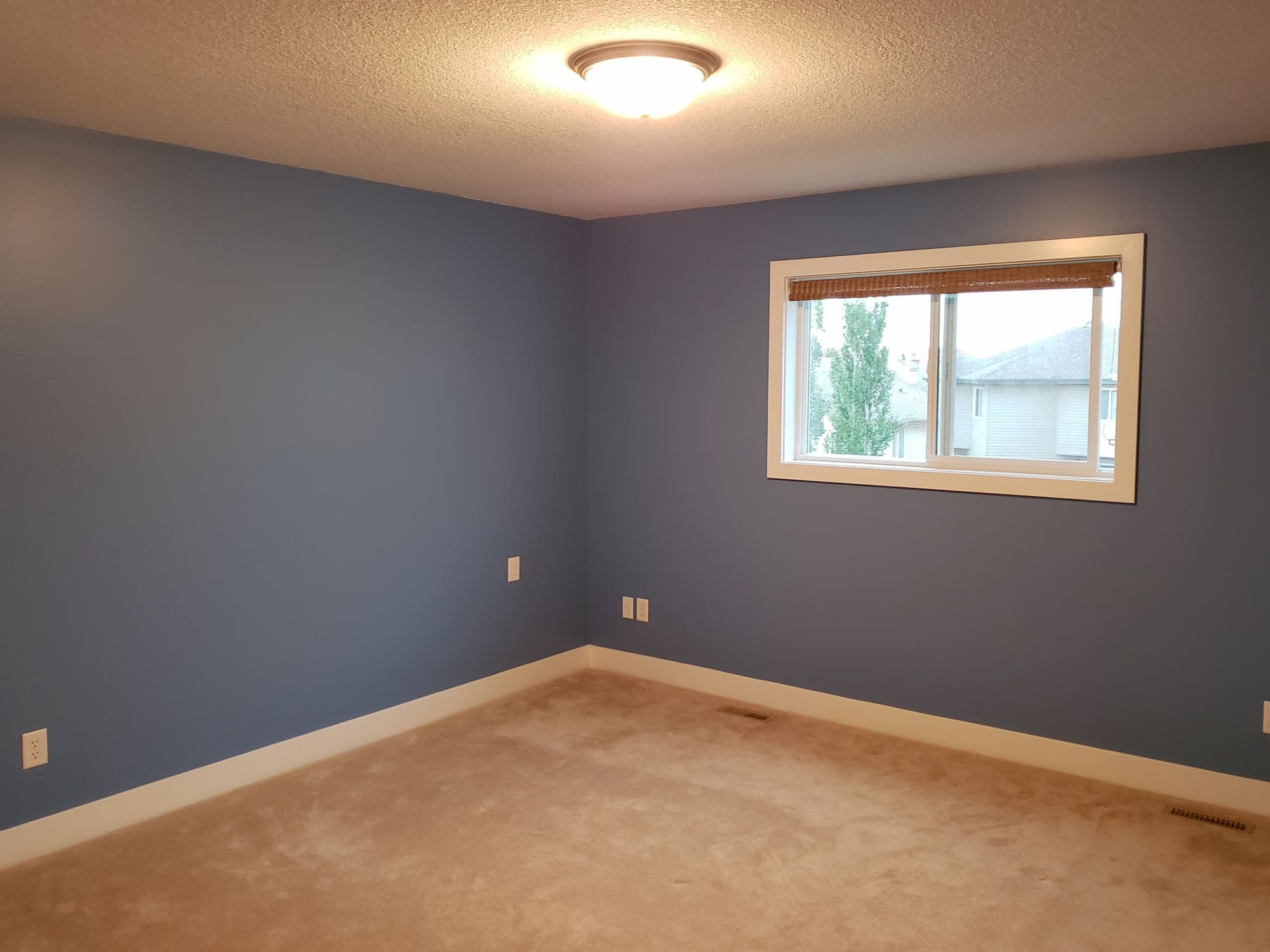 Painting Services Hamilton